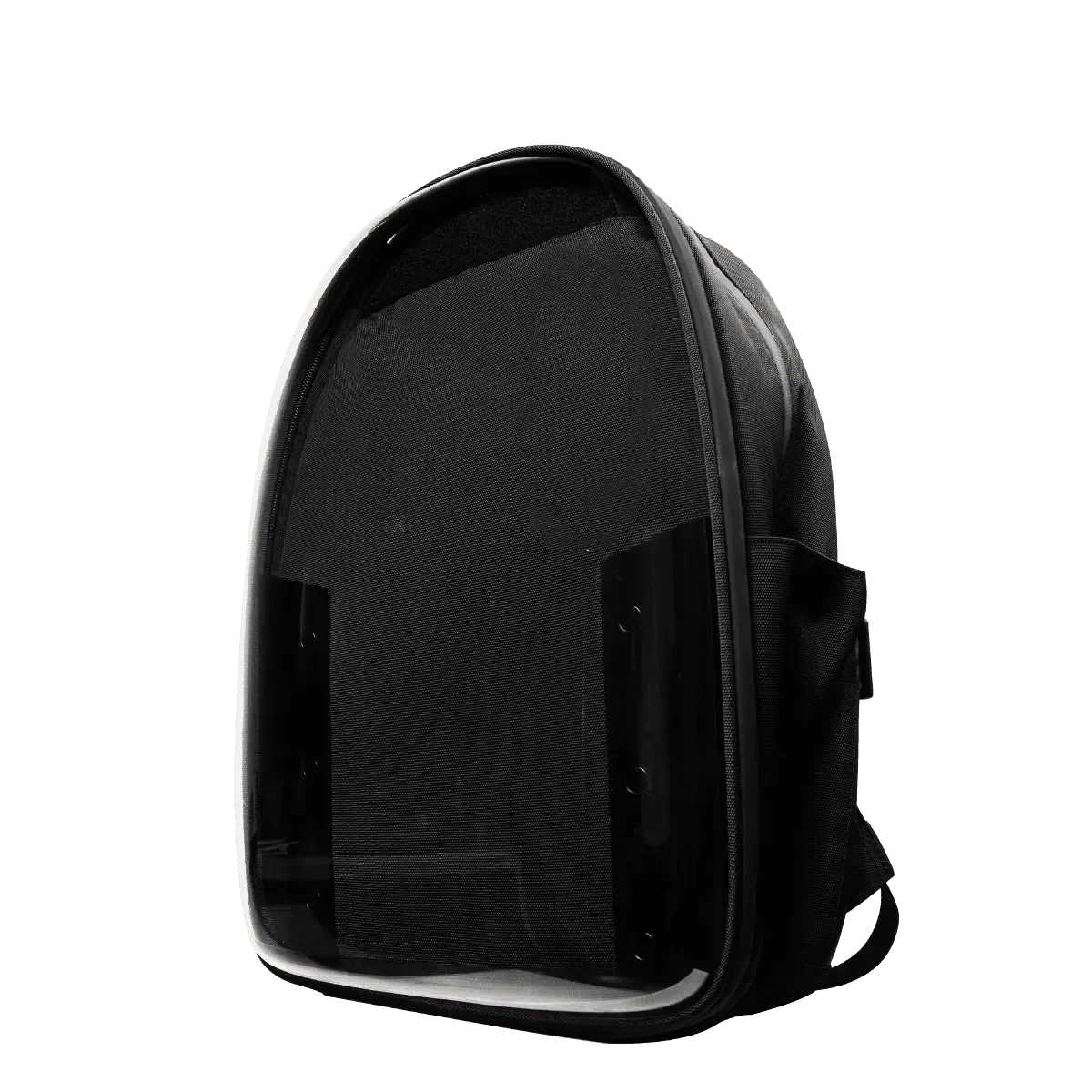 Dinosaur Domepak Kit
