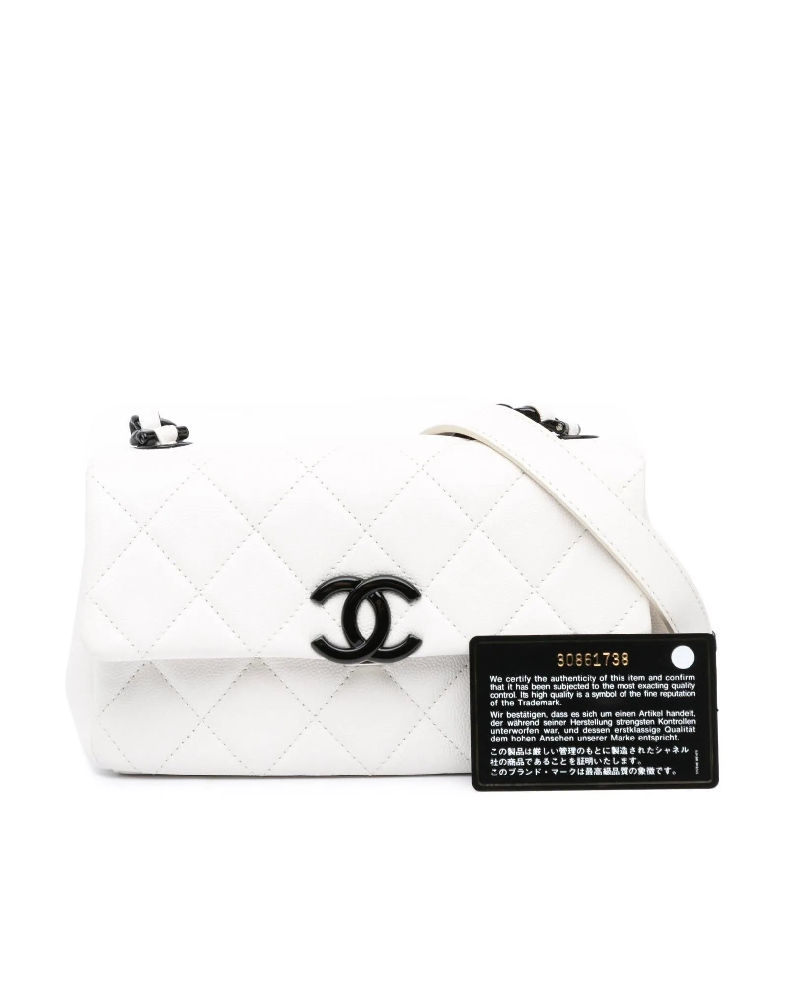 Small Quilted Leather Flap Bag with Chain Strap and Clasp Closure